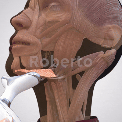 Roberto™ Anti-Aging Device 31 EMS