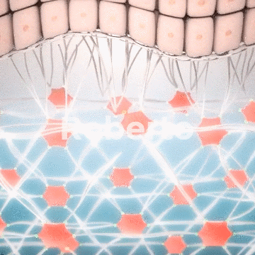 Roberto™ Anti-Aging Device 34 Targeted vibration 2